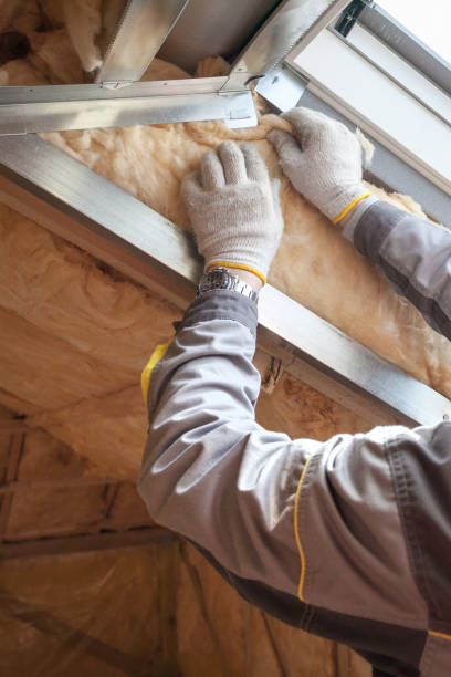 Best Cellulose Insulation in Augusta, GA