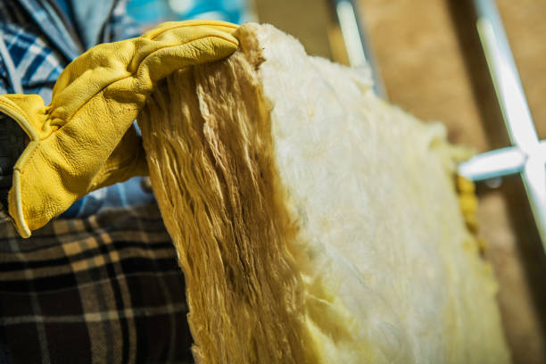 Best DIY Insulation Kits and Guidance in Augusta, GA