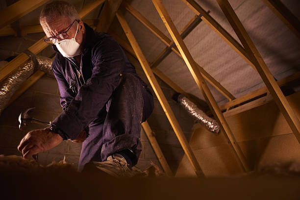 Best Residential Insulation in Augusta, GA